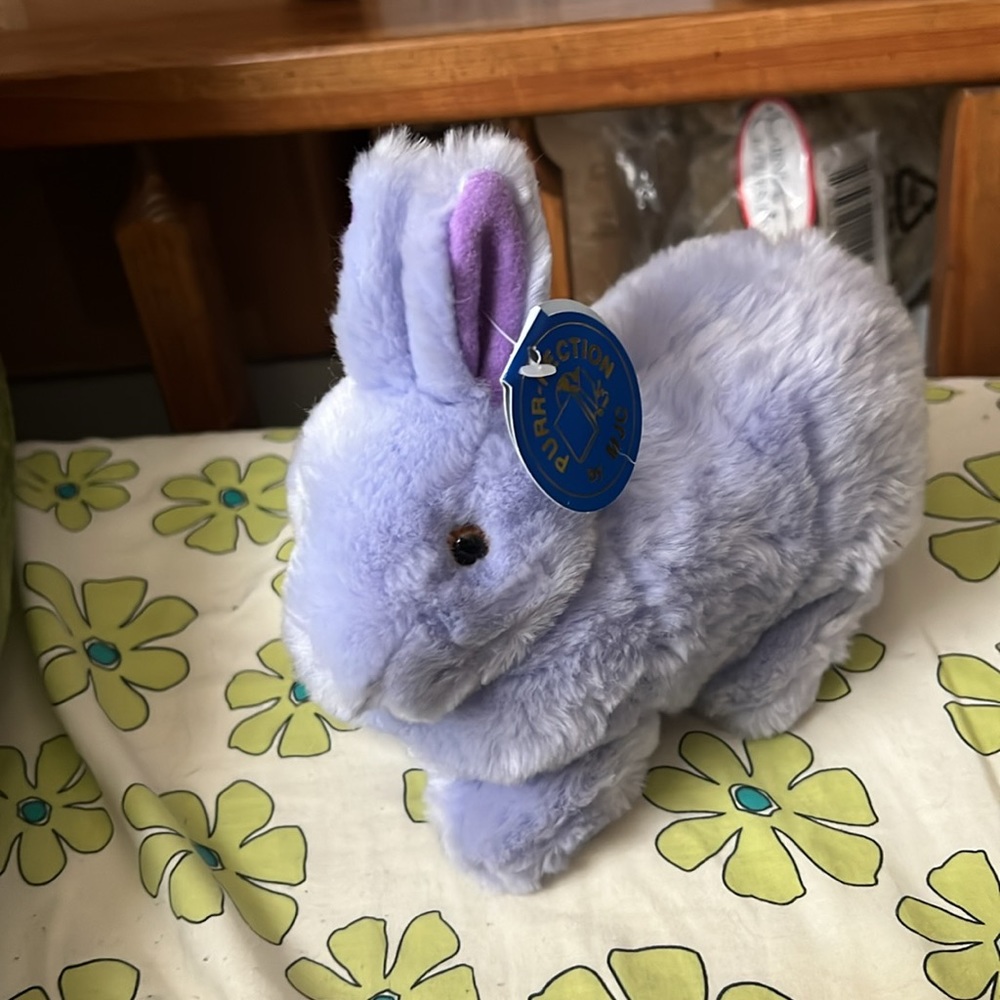 purple bunny